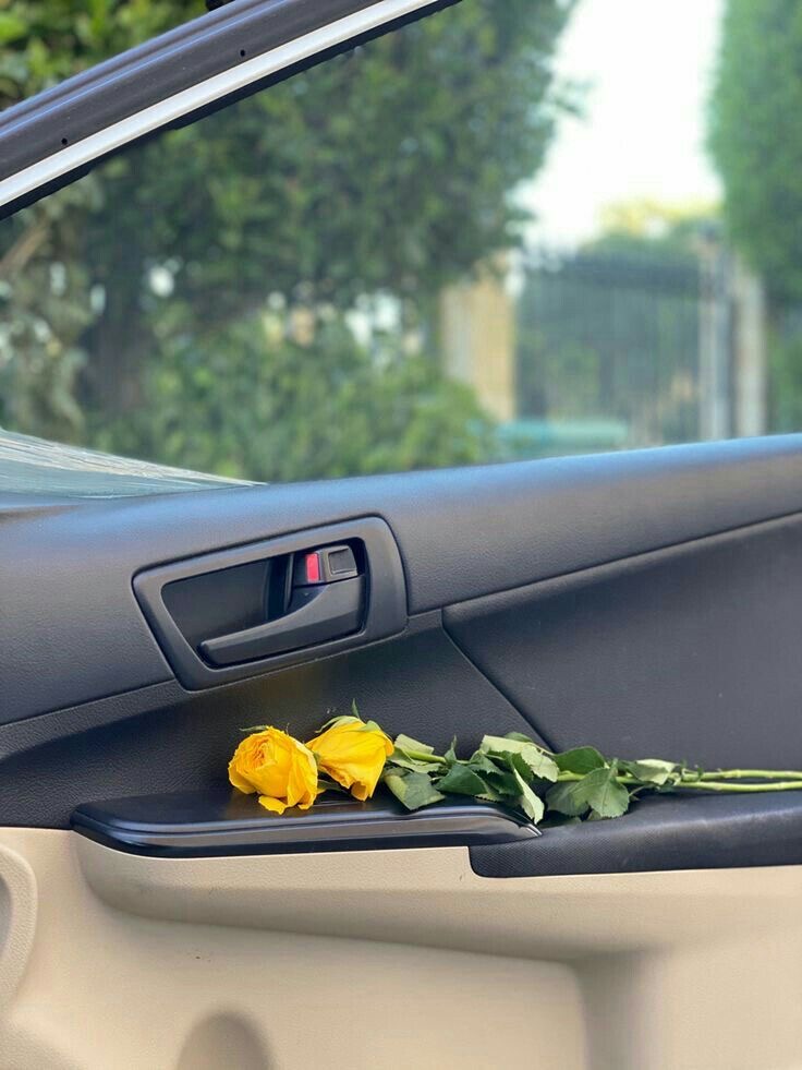 اصالة زيدان