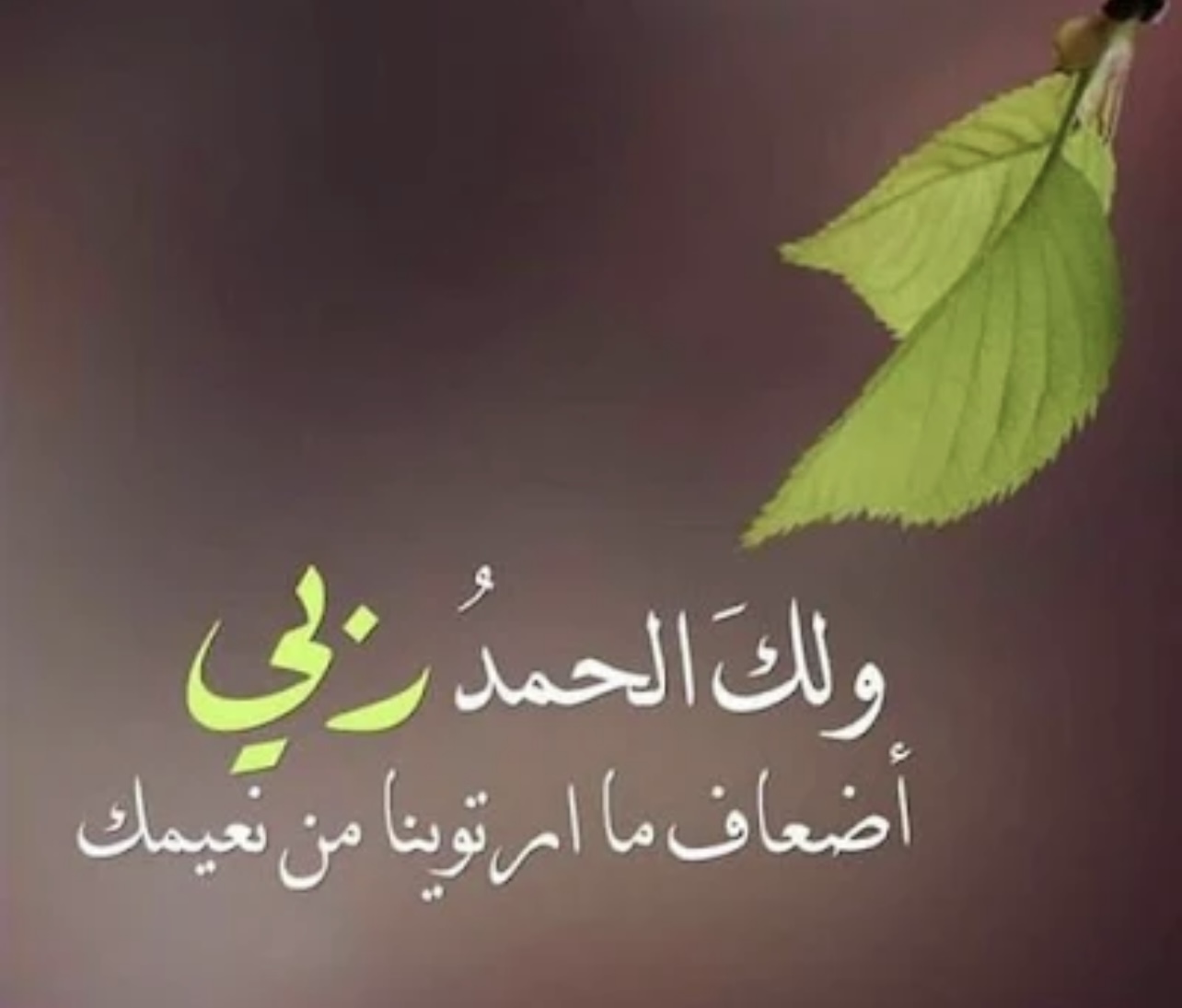 روزان ابو الهيجا